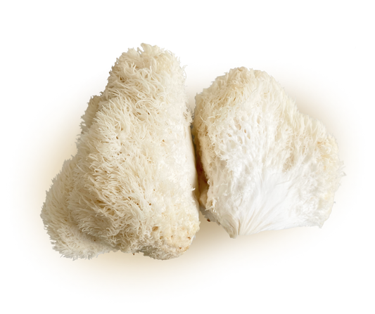 Ways to cook Lion’s Mane