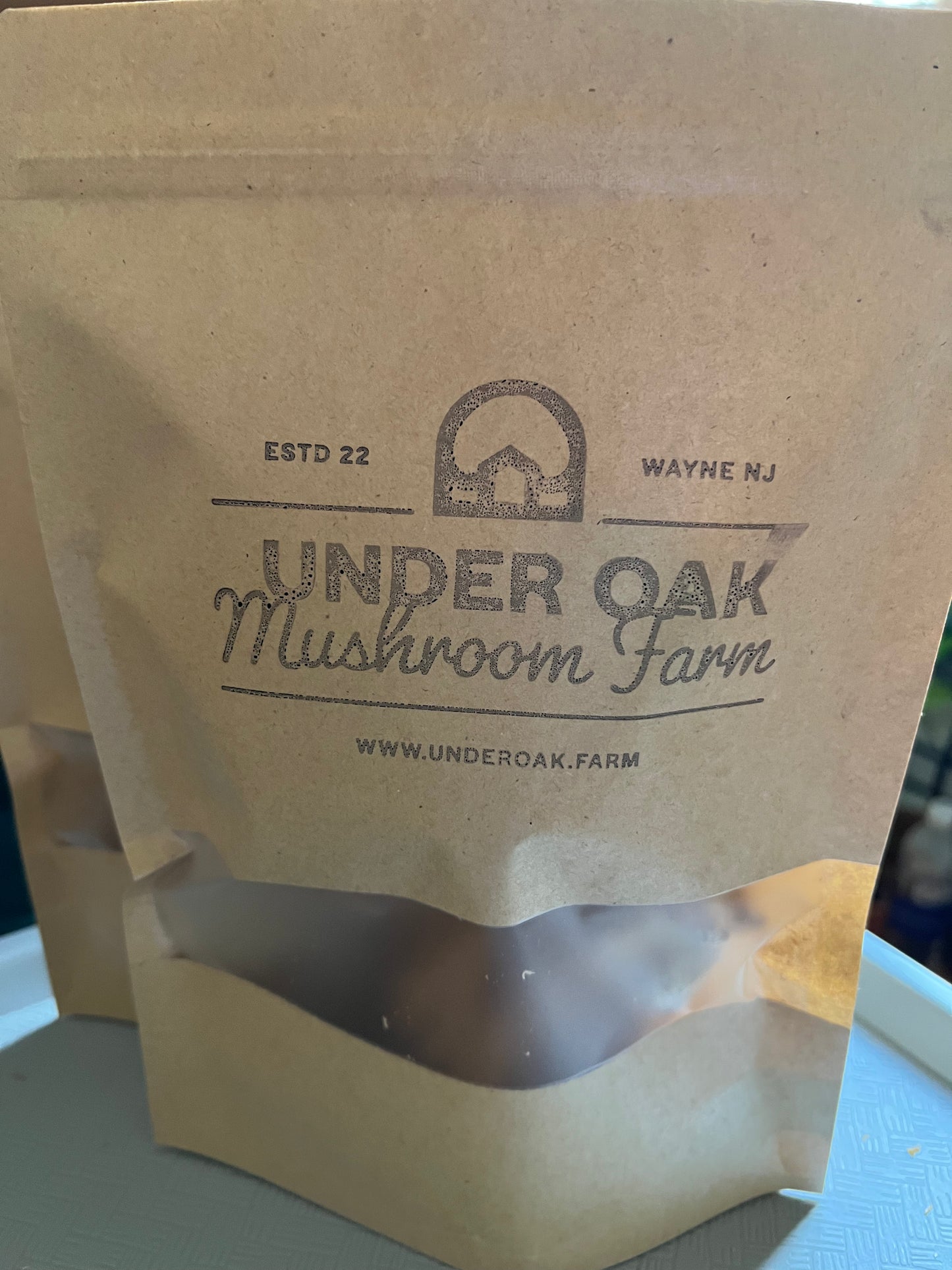 Dehydrated/Dried Lion's Mane Gourmet Mushrooms / Hericium erinaceus