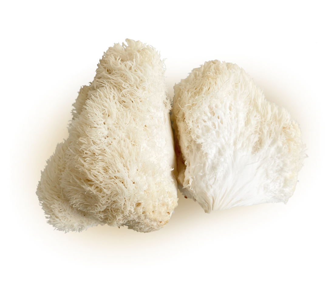 Ways to cook Lion’s Mane
