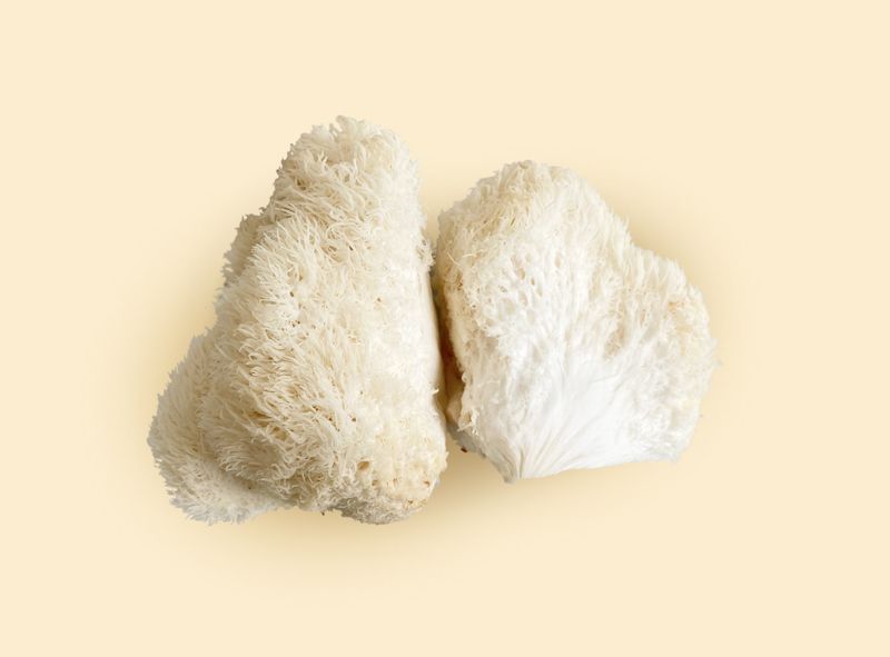 Dehydrated/Dried Lion's Mane Gourmet Mushrooms / Hericium erinaceus